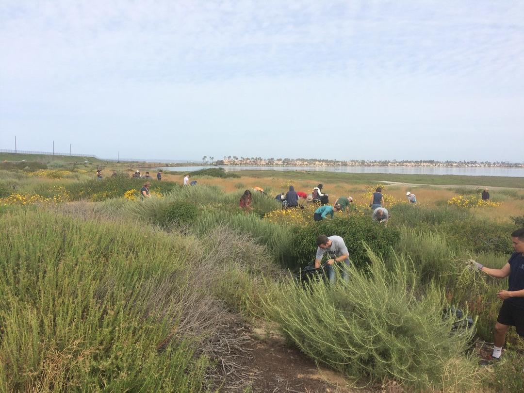 Environment clean up event on the Port of San Diego Tidelands