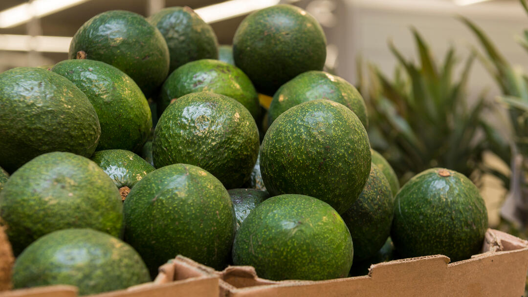 a box full of green avocados at the Port of San Diego Tenth Avenue Marine Terminal