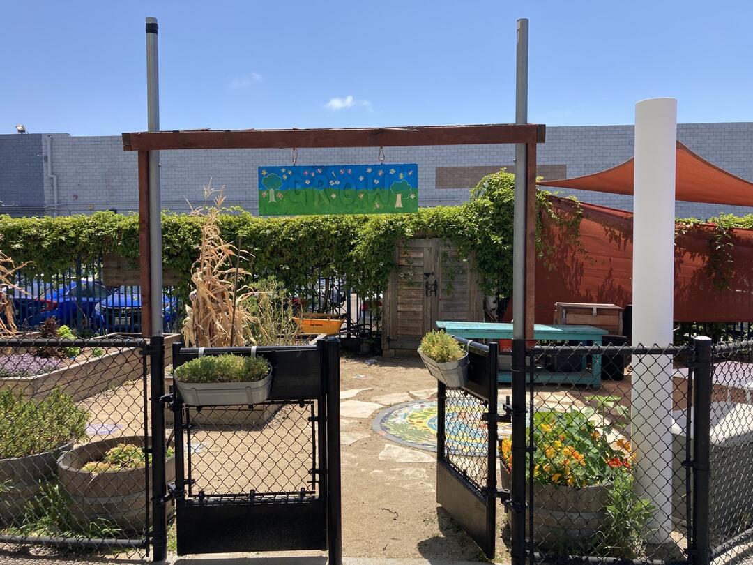 Image of gardens at Monarch School in Barrio Logan.