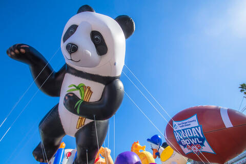 A giant panda balloon and a giant football balloon