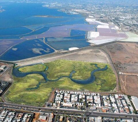 Rendering of a proposed project to create a wetland mitigation bank on a portion of a site known as Pond 20 in South San Diego Bay.