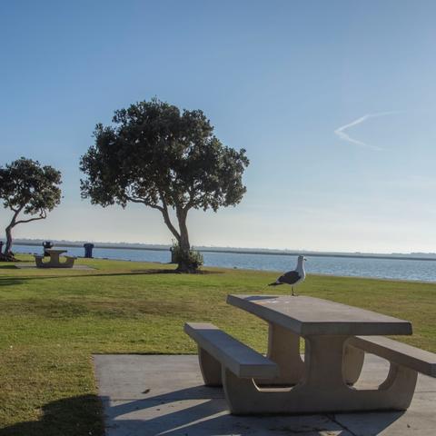 Picnic Tables, trees, and grass at Chula Vista Bayfront Park at the Port of San Diego