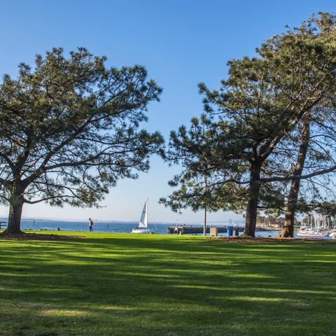 Grass and trees at Chula Vista Bayfront Park at the Port of San Diego