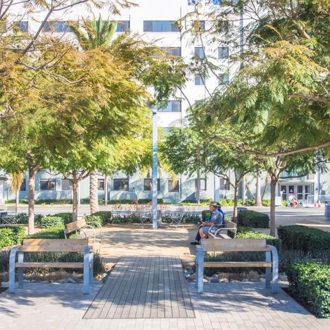 Benches and trees at Broadway Plaza at the Port of San Diego