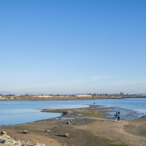 People walking on the shore of Chula Vista Bayfront Park at the Port of San Diego