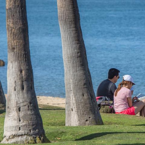 Couple reading books on the grass in between sand beach and trees at Coronado Landing Park at the Port of San Diego