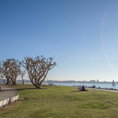 Grass, trees, benches along path at Embarcadero Marina Park North at the Port of San Diego