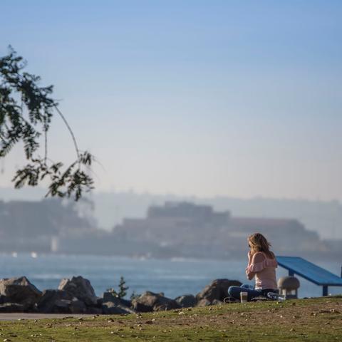 A woman sitting on the grass facing the water at Embarcadero Marina Park North at the Port of San Diego