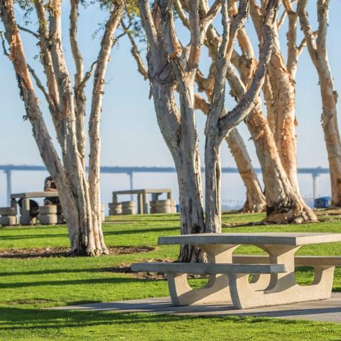 Picnic tables, trees, grass, at Embarcadero Marina Park South at the Port of San Diego