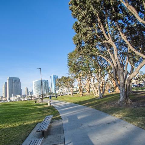 Path, trees, grass, and benches at Embarcadero Marina Park South at the Port of San Diego