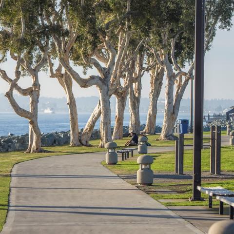 Path, benches, trees, grass at Embarcadero Marina Park South at the Port of San Diego