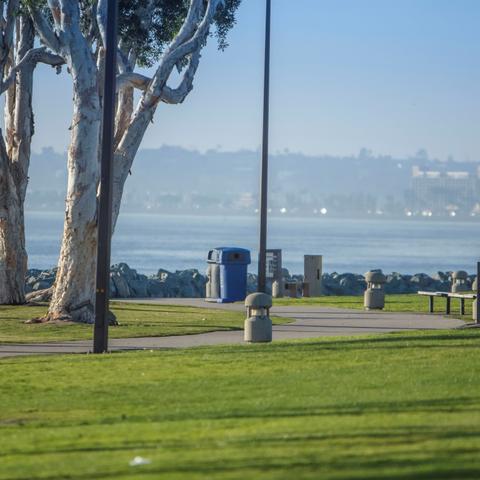 Path, trees, bench, and grass at Embarcadero Marina Park South at the Port of San Diego