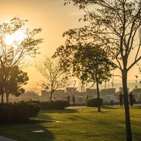 Trees and grass with orange-yellow skies at Ruocco Park at the Port of San Diego