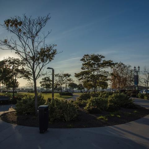 Landscaped walkway with trees and flower bushes at Ruocco Park at the Port of San Diego