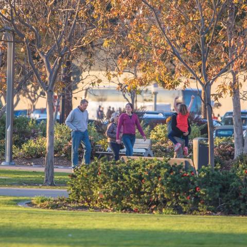 Family strolling through the grassy and autumn-colored tree-filled Ruocco Park at the Port of San Diego