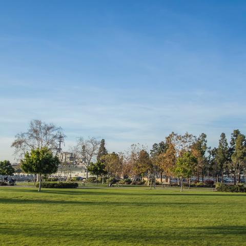 Luscious green grass and trees under bright blue skies at Ruocco Park at the Port of San Diego