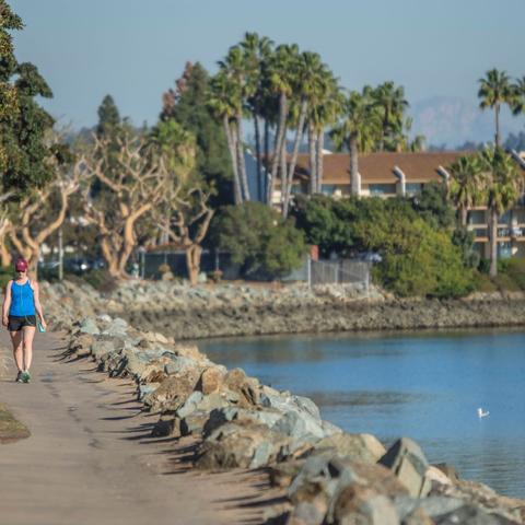 Woman walking on tree-lined path along the water at Spanish Landing Park at the Port of San Diego