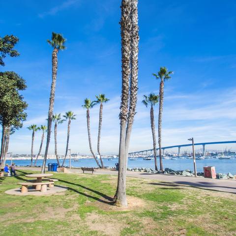Trees, grass, and picnic tables at Coronado Tidelands Park at the Port of San Diego