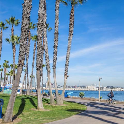 Cyclists biking on tree-lined path at Coronado Tidelands Park at the Port of San Diego