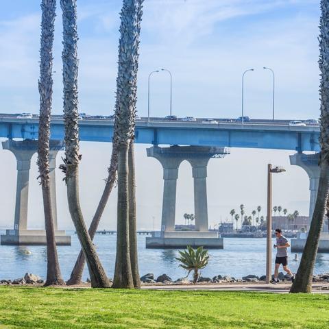 Man running along tree-lined path with San Diego-Coronado Bay Bridge in the background at Coronado Tidelands Park at the Port of San Diego