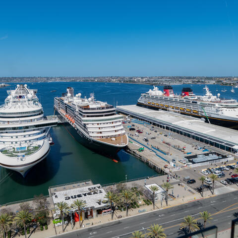 3 cruise ships are seen from higher than the deck. They are all docked parallel at the Port of San Diego